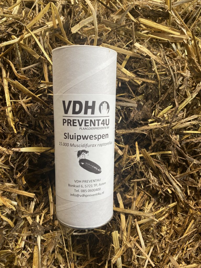 VDH Prevent4U biologische vliegenbestrijding