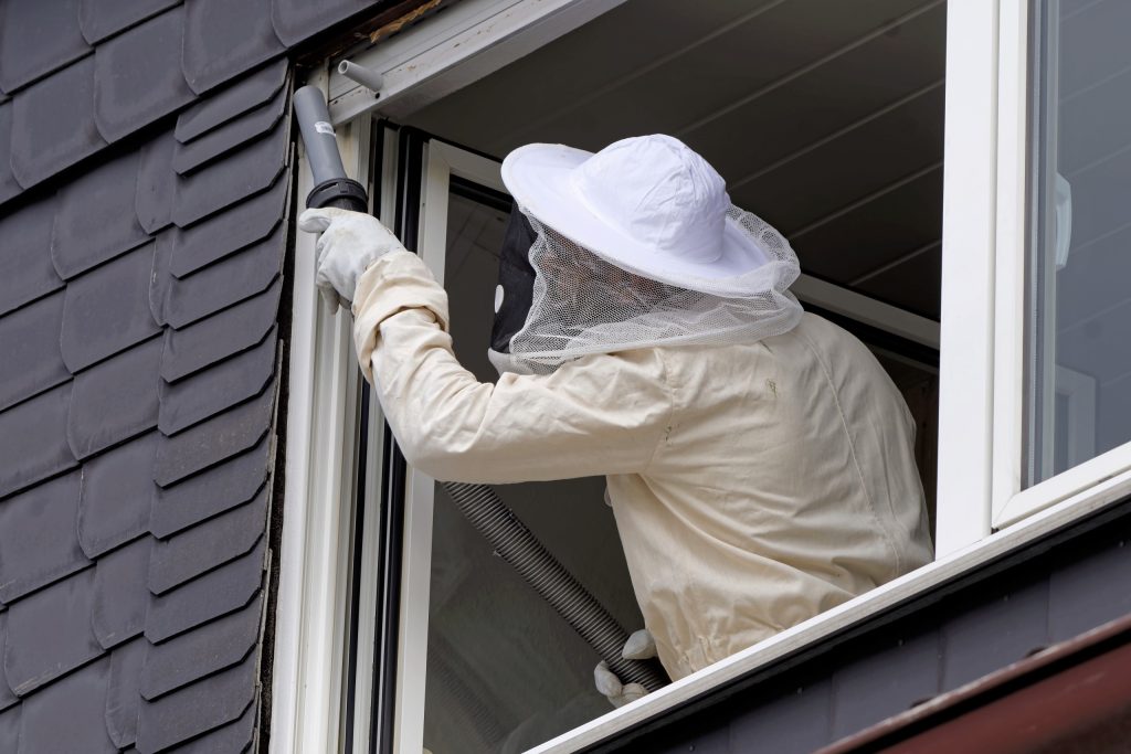 VDH Prevent4U insectenbestrijding wespennest hoornaarsnest bestrijden